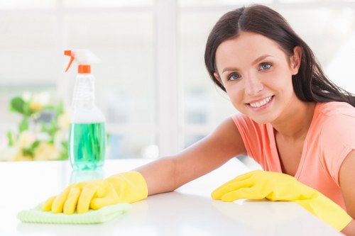 Local window cleaning service for homes in SE3