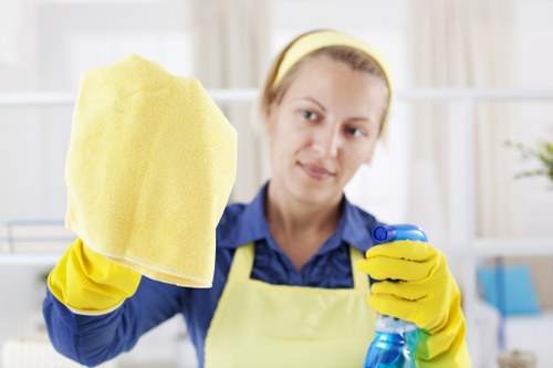 Local SE3 cleaning team working in a residential property