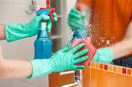 Professional carpet cleaning for a SE3 home interior