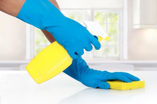 Professional one off cleaning in a SE3 home with a detailed freshen-up
