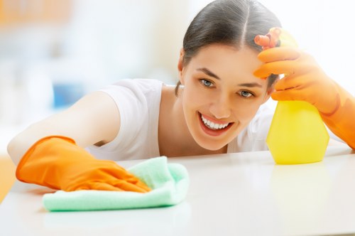 Move-out cleaning support for a property in SE3