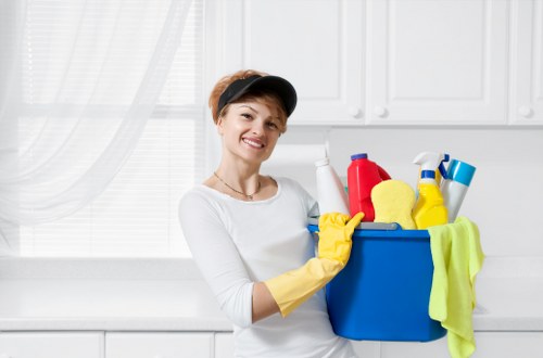 Careful inspection and stain treatment for rugs in a SE3 property