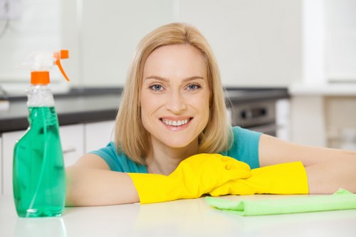 Secure payment illustration for Carpetcleaning SE3 checkout