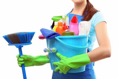 Professional deep carpet cleaning in a Blackheath property