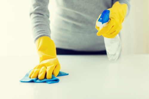 Local domestic cleaning for a modern SE3 apartment