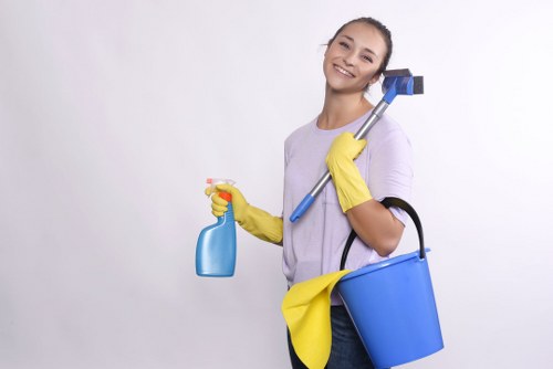 Kitchen and bathroom domestic cleaning service for an SE3 apartment