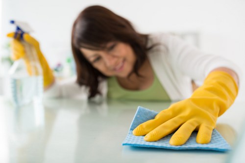 Domestic cleaning for apartments and family homes in SE3
