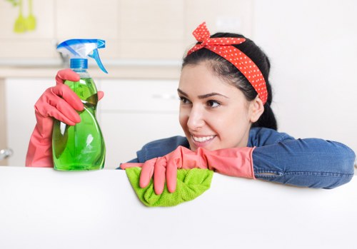 Regular domestic cleaning visit for a SE3 household with practical household chores