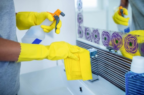 Commercial cleaning support for an office or workplace in SE3