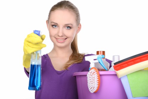 Professional carpet cleaning quotation request in SE3
